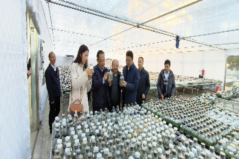 广东省农科院全链条科技赋能翁源兰花产业的工作成效入选省“百千万工程”创新案例
