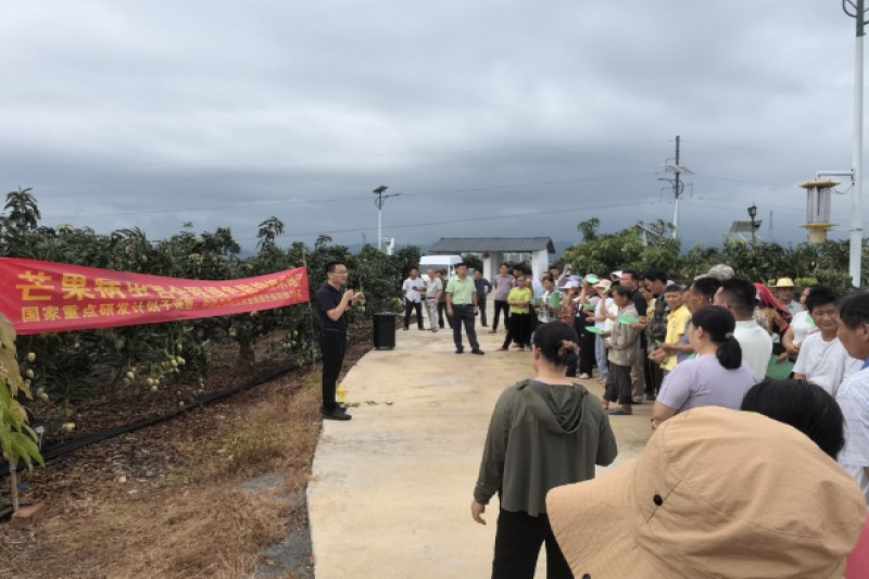 广西植保所有机农业产业科技先锋队赴百色市田东县开展芒果病虫害全程绿色防控技术培训
