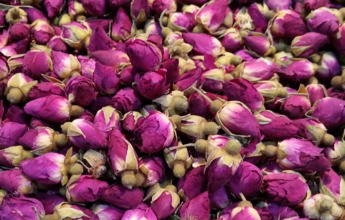 中国通用机械工业协会干燥设备分会关于《真空冷冻干燥机能效限定值及能效等级》、《真空干燥设备通用技术条件》团体标准征求意见公示的通知