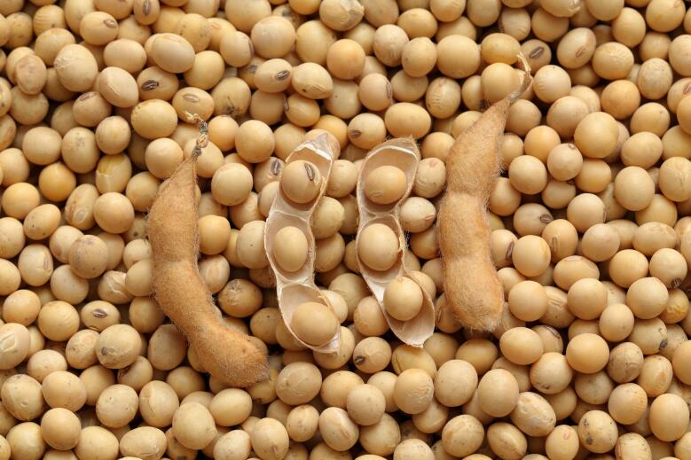 内江扎实开展大豆机收损失监测工作 加快推进粮油作物生产全程机械化