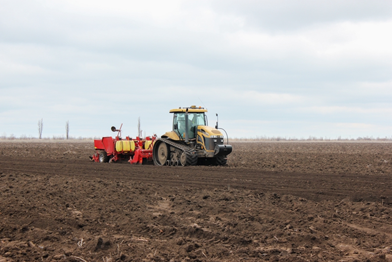 泗洪县开展冬季麦田管理专项指导行动